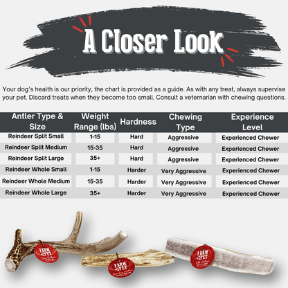 REINDEER ANTLERS FOR DOGS | ANTLER DOG CHEWS FOR AGGRESSIVE CHEWERS