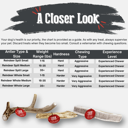REINDEER ANTLERS FOR DOGS | ANTLER DOG CHEWS FOR AGGRESSIVE CHEWERS