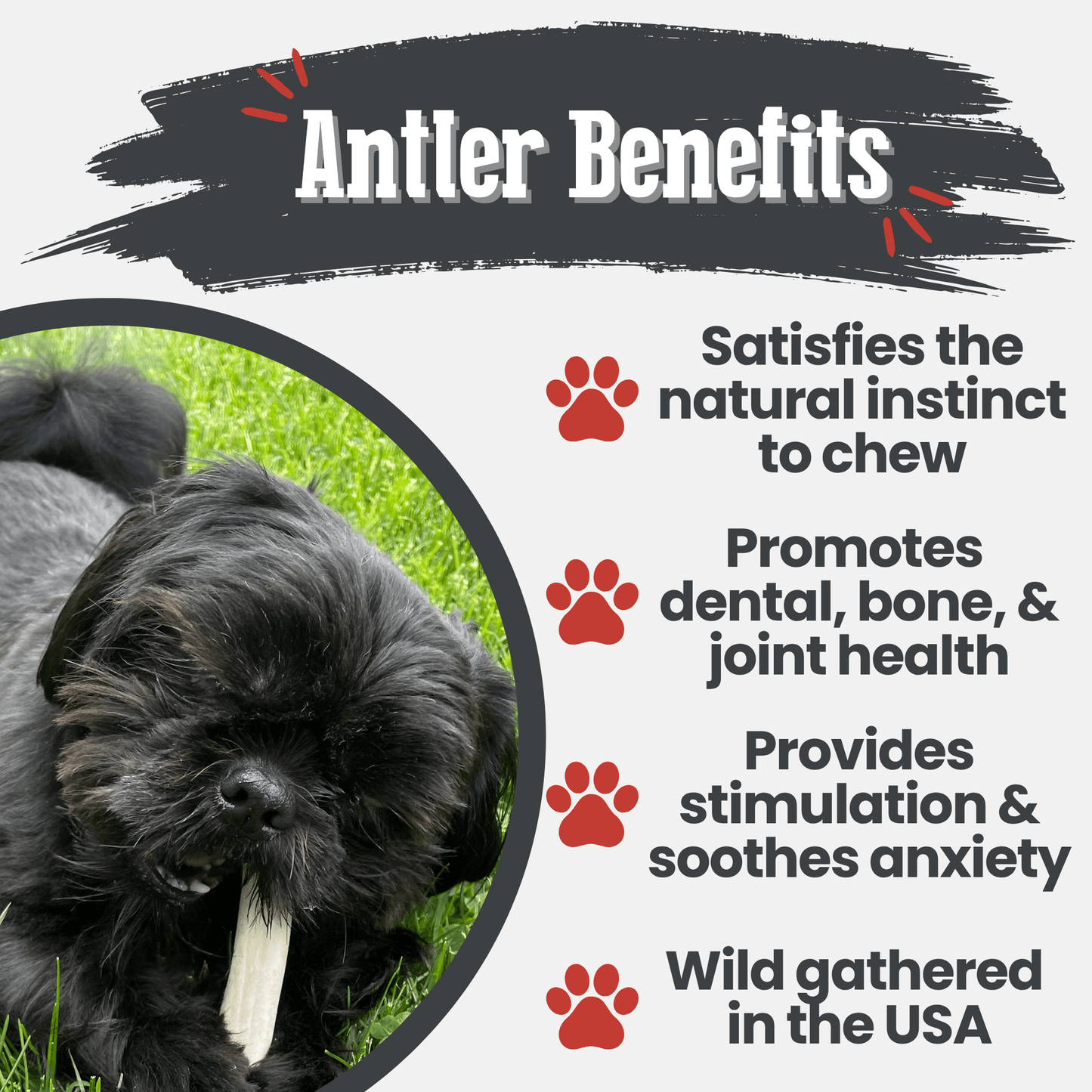 REINDEER ANTLERS FOR DOGS | ANTLER DOG CHEWS FOR AGGRESSIVE CHEWERS