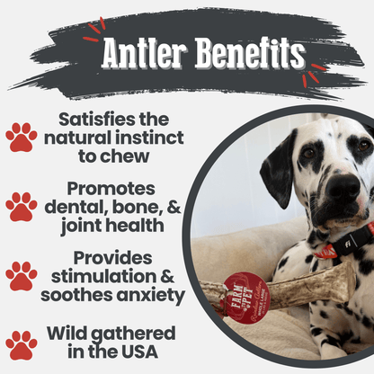REINDEER ANTLERS FOR DOGS | ANTLER DOG CHEWS FOR AGGRESSIVE CHEWERS