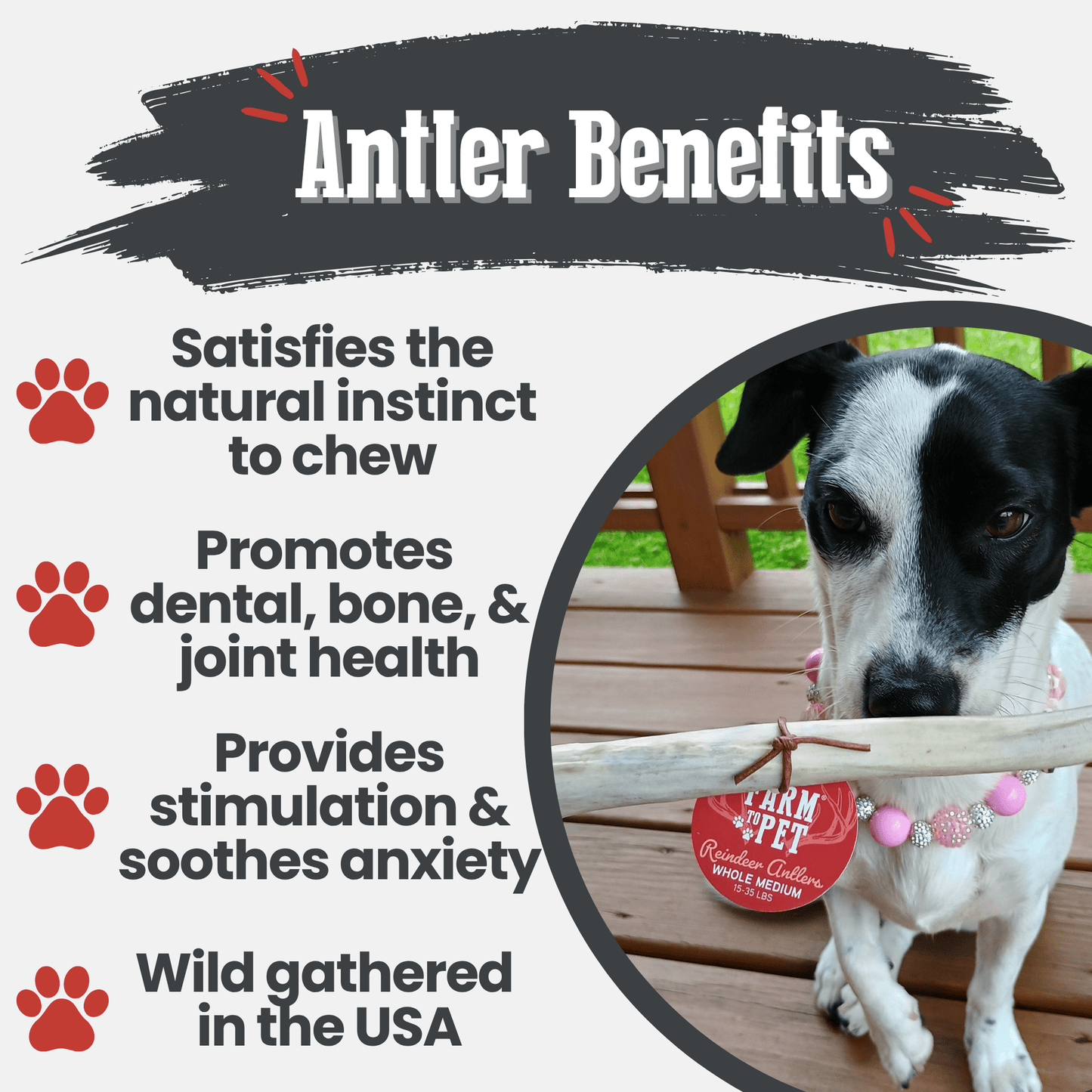 REINDEER ANTLERS FOR DOGS | ANTLER DOG CHEWS FOR AGGRESSIVE CHEWERS