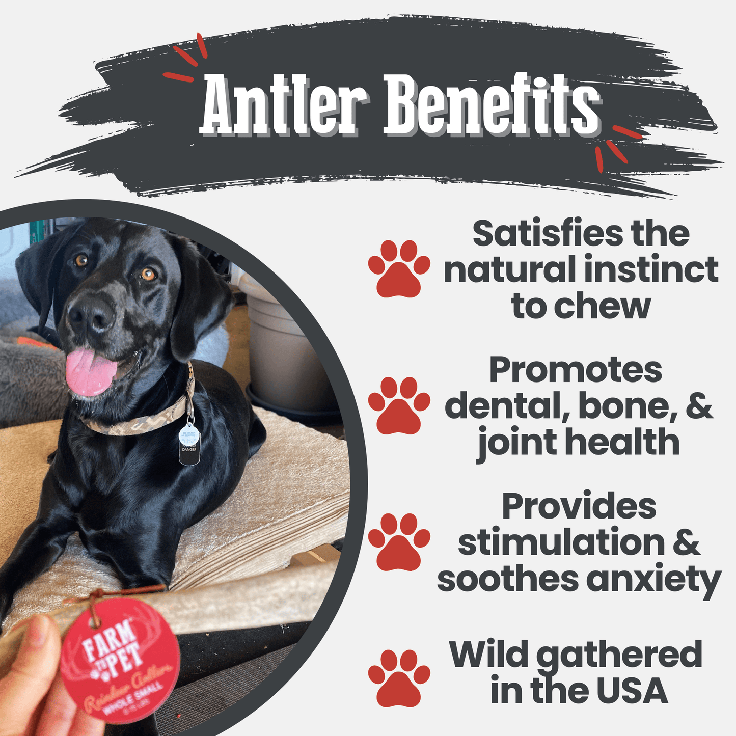 REINDEER ANTLERS FOR DOGS | ANTLER DOG CHEWS FOR AGGRESSIVE CHEWERS