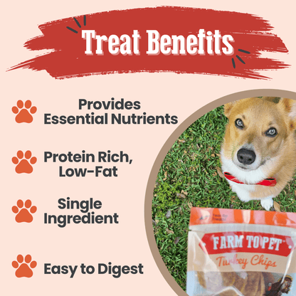 Turkey Chips Snack Pack Bundles | Low Allergen Treats for Training