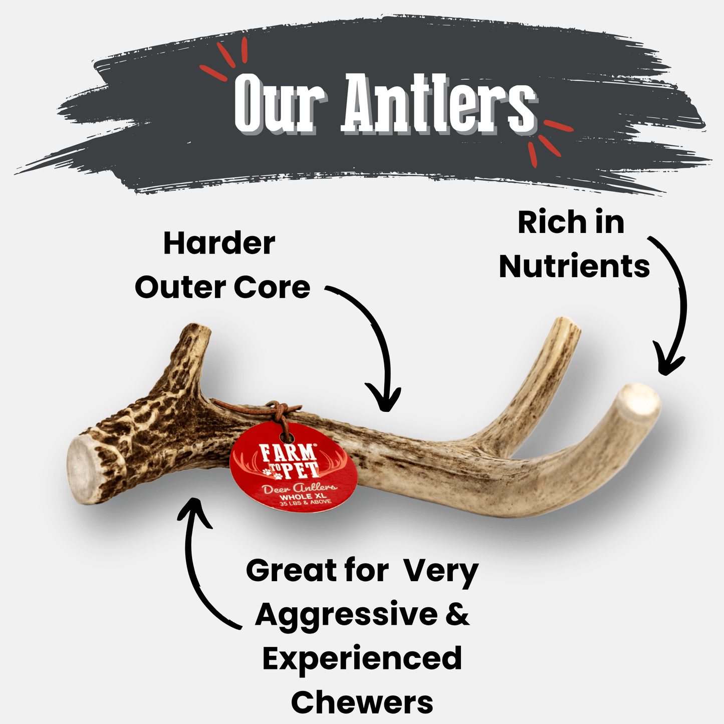 DEER ANTLER DOG CHEWS | ORGANIC CHEW FOR LARGE DOGS