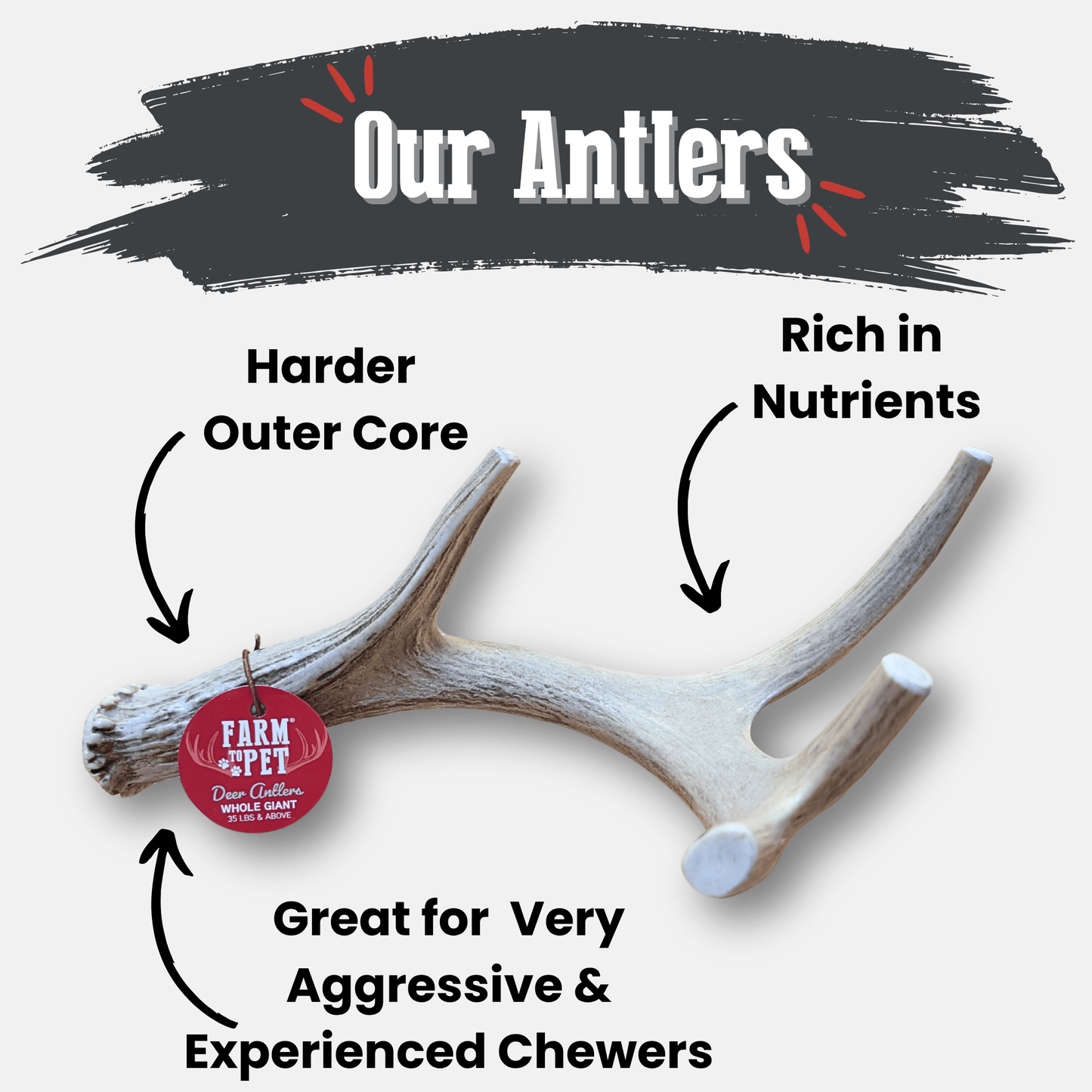DEER ANTLER DOG CHEWS | ORGANIC CHEW FOR LARGE DOGS