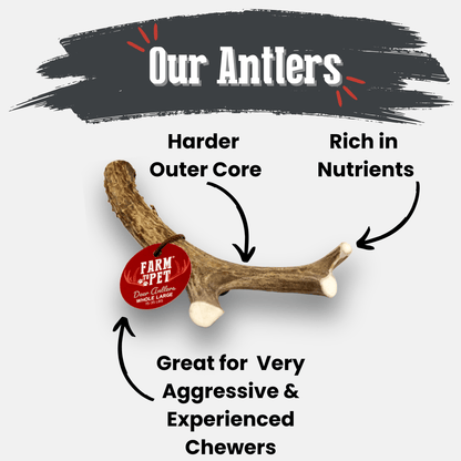 DEER ANTLER DOG CHEWS | ORGANIC CHEW FOR LARGE DOGS
