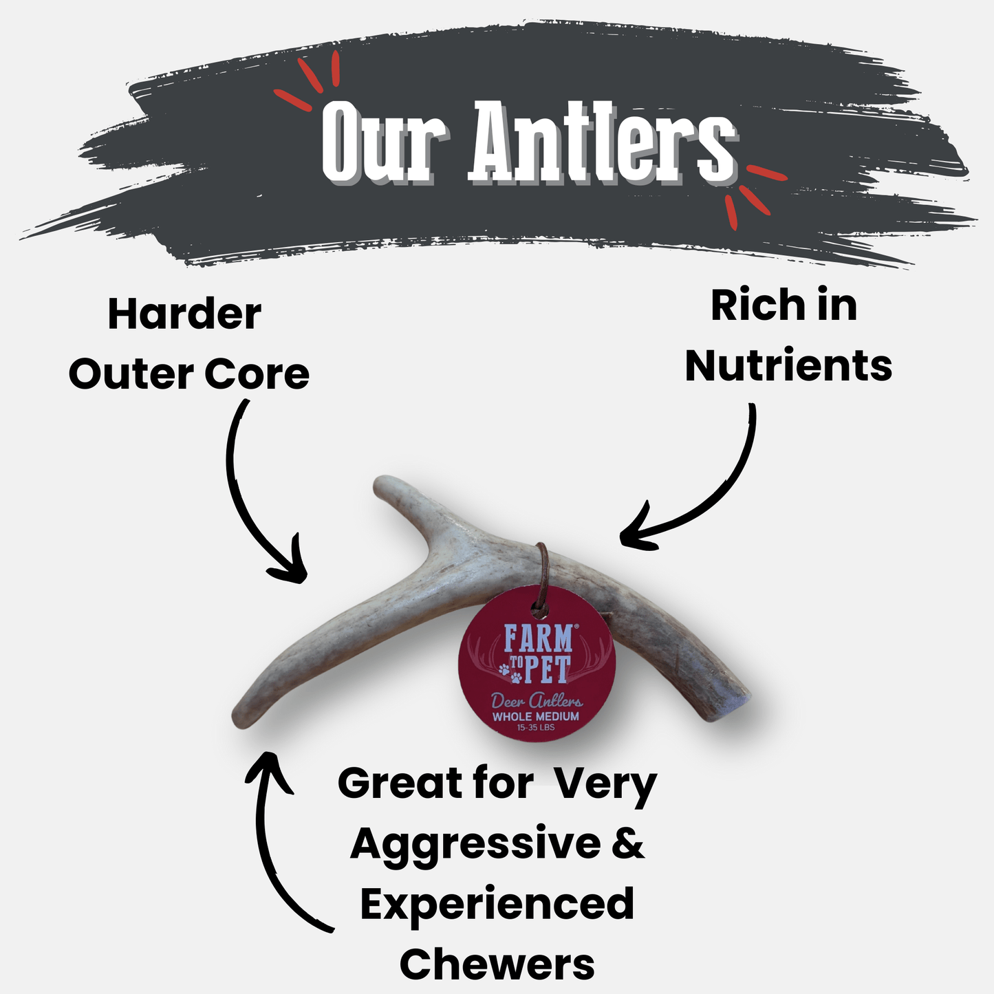 DEER ANTLER DOG CHEWS | ORGANIC CHEW FOR LARGE DOGS