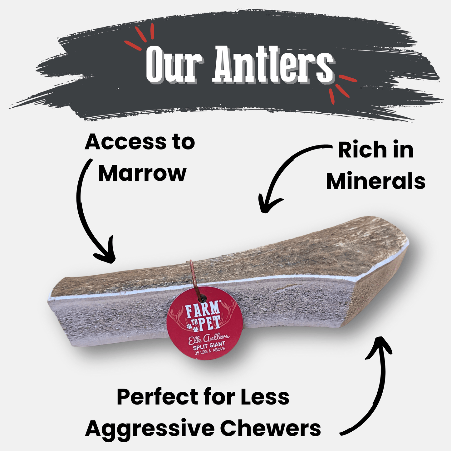 ELK ANTLERS FOR DOGS | WHOLE AND SPLIT ELK ANTLER CHEWS