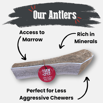 ELK ANTLERS FOR DOGS | WHOLE AND SPLIT ELK ANTLER CHEWS