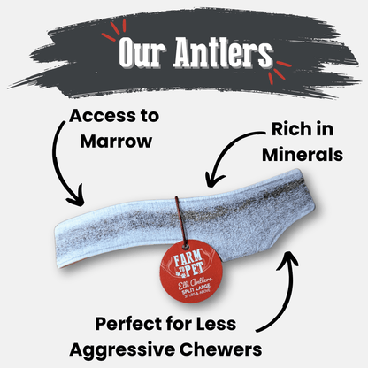 ELK ANTLERS FOR DOGS | WHOLE AND SPLIT ELK ANTLER CHEWS