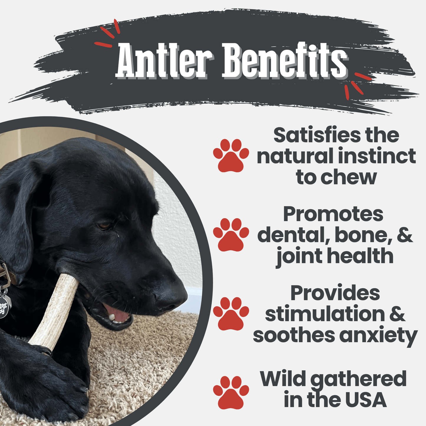 ELK ANTLERS FOR DOGS | WHOLE AND SPLIT ELK ANTLER CHEWS
