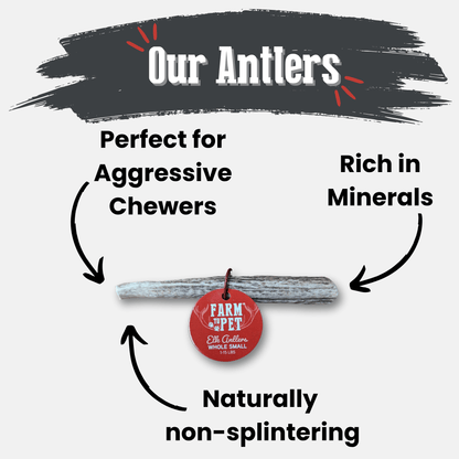 ELK ANTLERS FOR DOGS | WHOLE AND SPLIT ELK ANTLER CHEWS