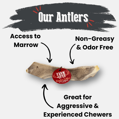 REINDEER ANTLERS FOR DOGS | ANTLER DOG CHEWS FOR AGGRESSIVE CHEWERS