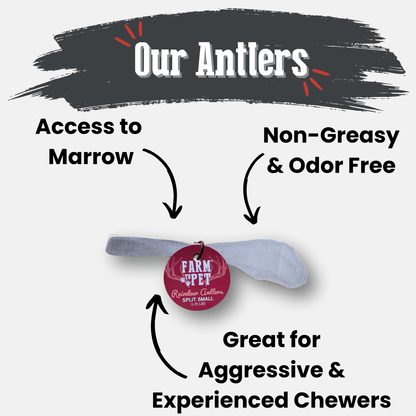 REINDEER ANTLERS FOR DOGS | ANTLER DOG CHEWS FOR AGGRESSIVE CHEWERS