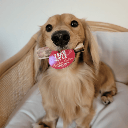 REINDEER ANTLERS FOR DOGS | ANTLER DOG CHEWS FOR AGGRESSIVE CHEWERS