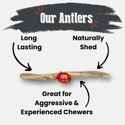 REINDEER ANTLERS FOR DOGS | ANTLER DOG CHEWS FOR AGGRESSIVE CHEWERS