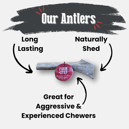 REINDEER ANTLERS FOR DOGS | ANTLER DOG CHEWS FOR AGGRESSIVE CHEWERS