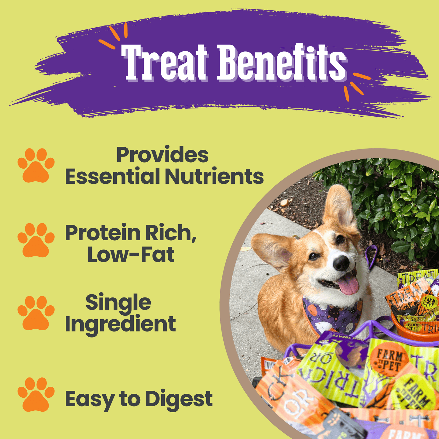 Halloween Dog Treat Snack Pack 24-Piece Bundle