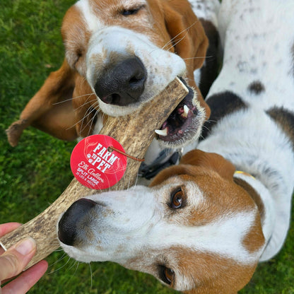 ELK ANTLERS FOR DOGS | WHOLE AND SPLIT ELK ANTLER CHEWS