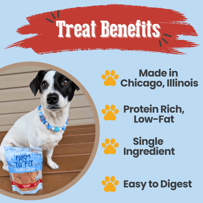 Chicago Chicken Chips for Dogs | Dog Treats To Celebrate Our Hometown