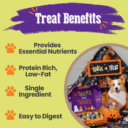 Halloween 31 Snack Pack Dog Treat Box