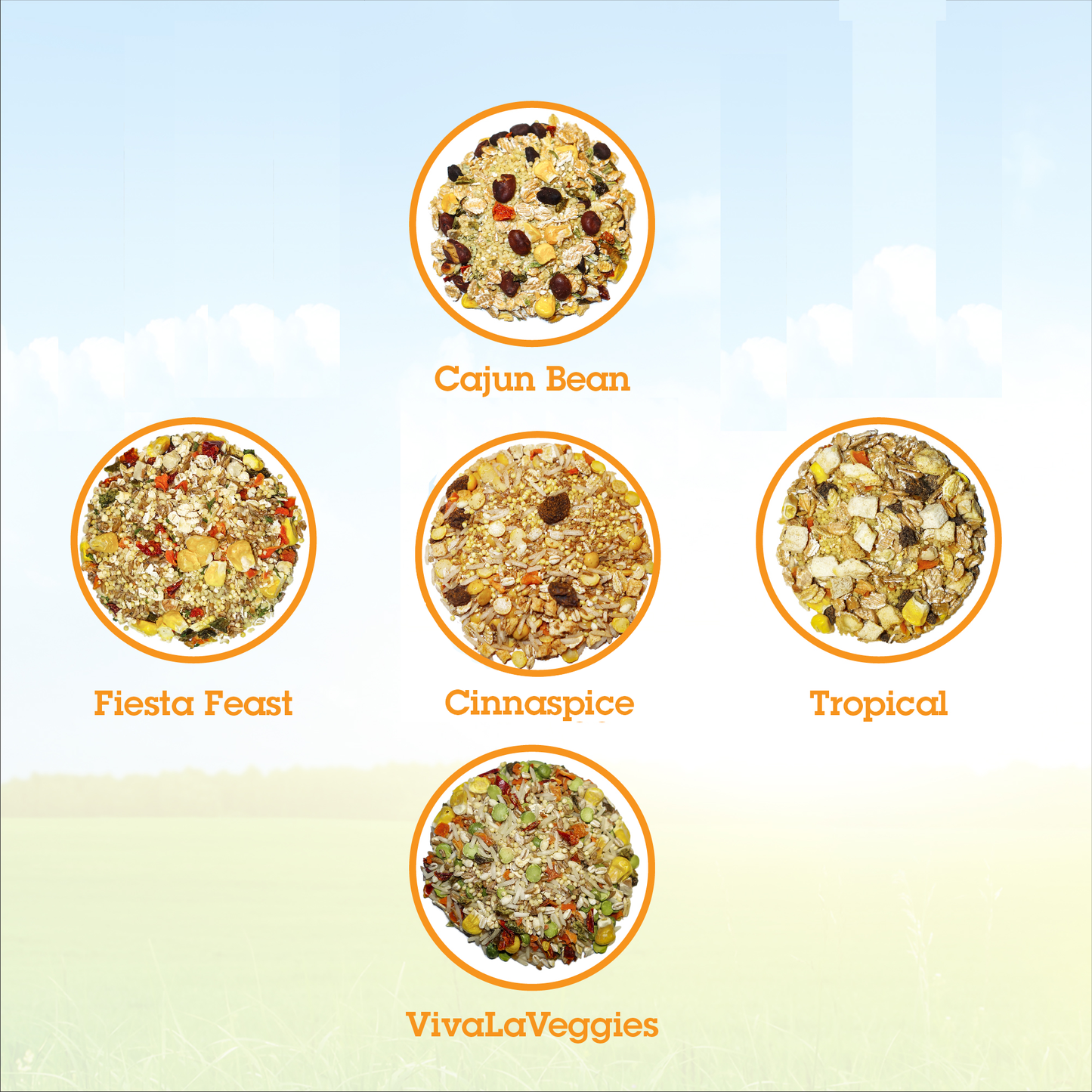 Parrot Food Sample Pack