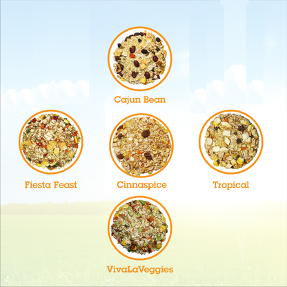 Parrot Food Sample Pack