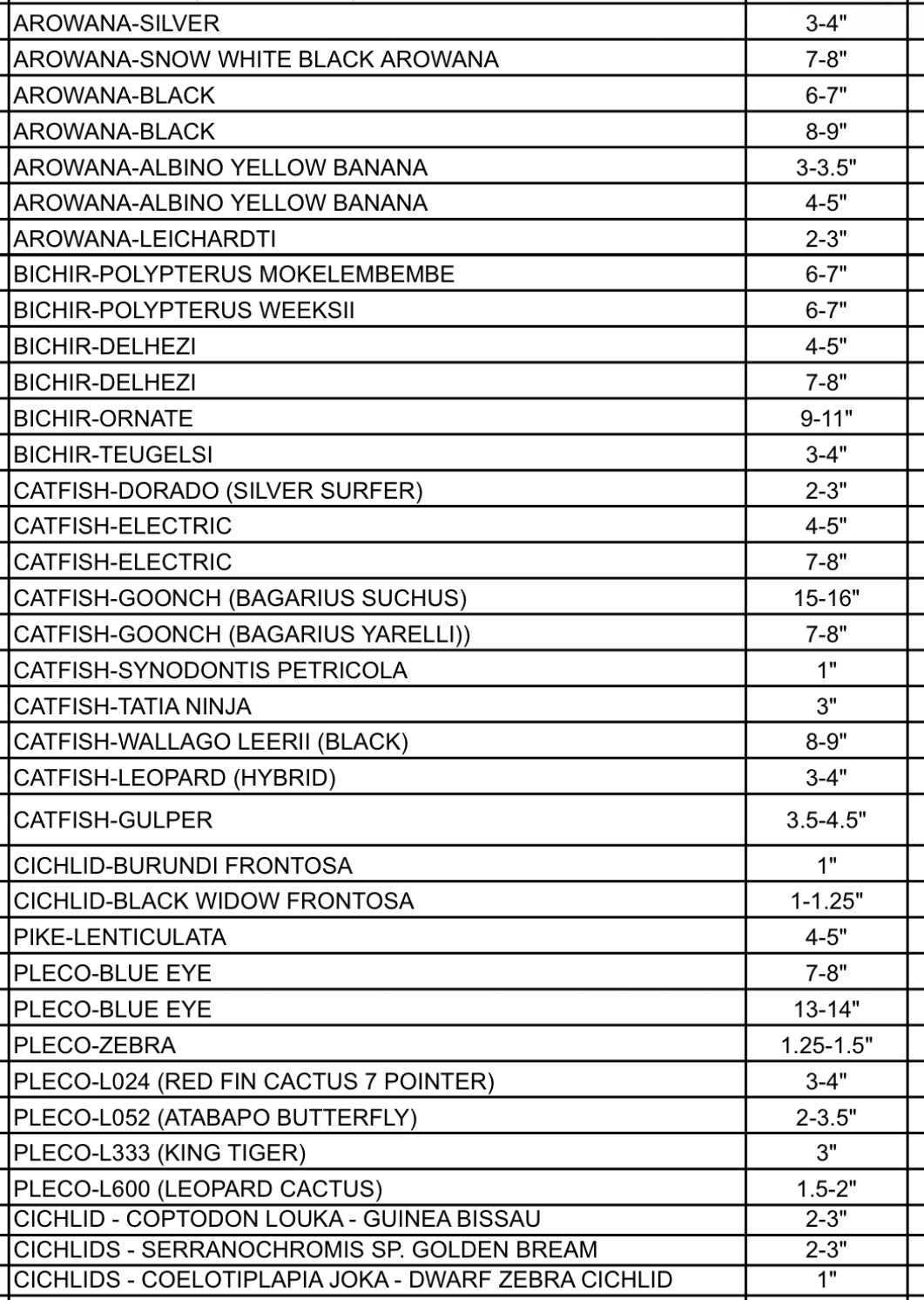 DECEMBER 2025 PRE-ORDER LIST (RARE FISH)