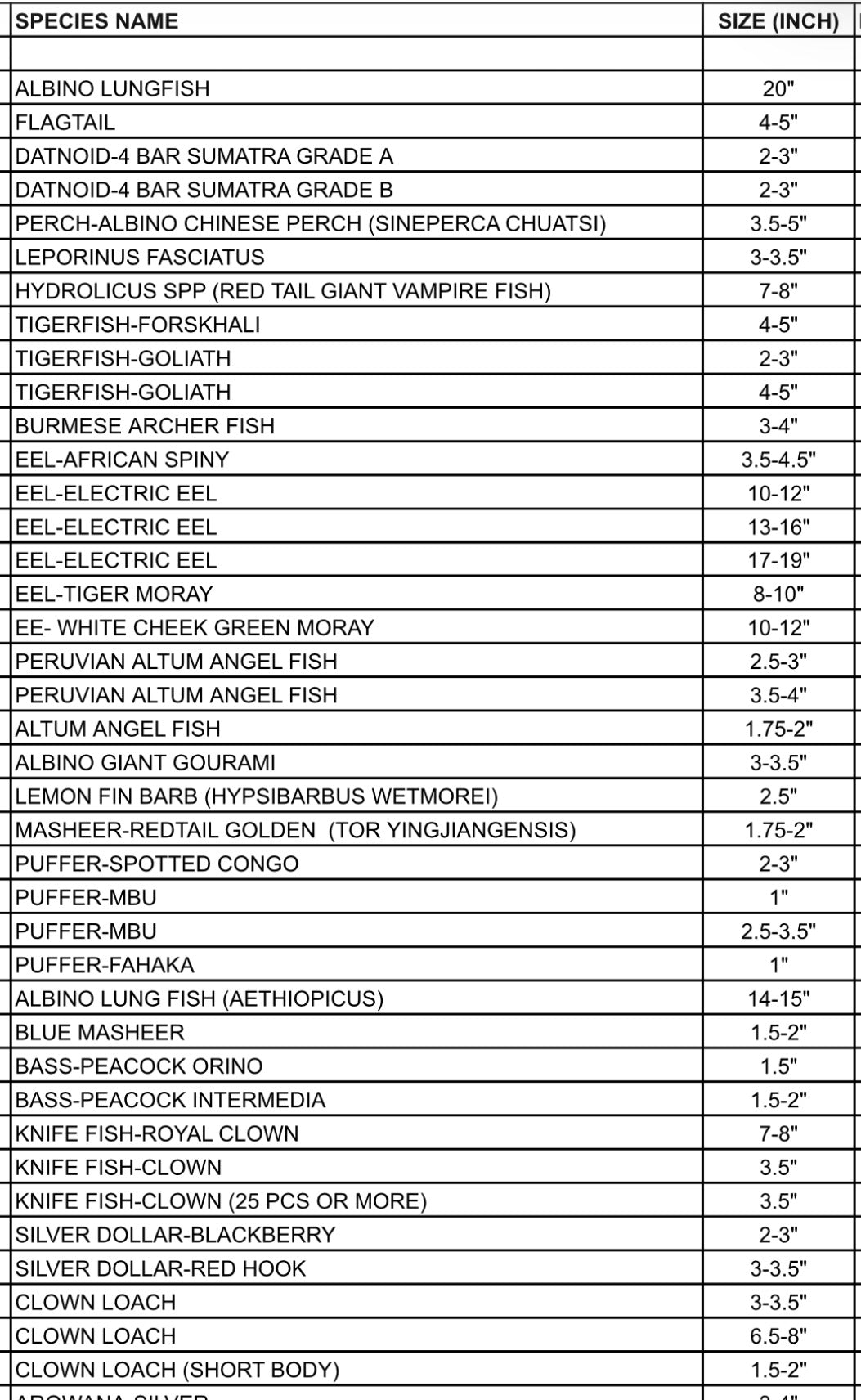 Pre Order Lsit Examples DECEMBER 2025 PRE-ORDER LIST (RARE FISH) – Danaqua Live Fish & More
