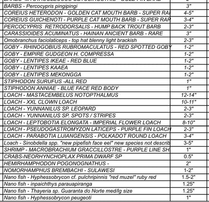 DECEMBER 2025 PRE-ORDER LIST (RARE FISH)