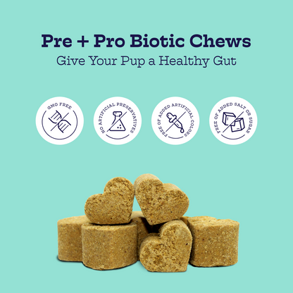 Pre + Pro Biotic Chews