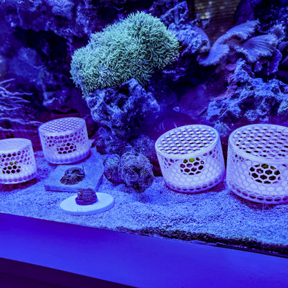 Mushroom Cage