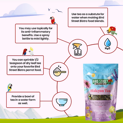 Parrot Food Super-Pack