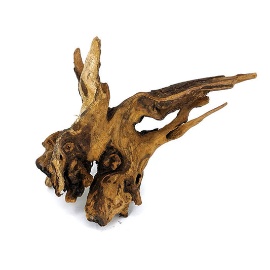 Pacific Driftwood Small
