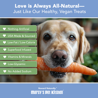 Marcy's Pet Kitchen® - 'On-The-Go' All-Natural, Vegan Veggie Biscuit 1 oz Healthy Dog Treats