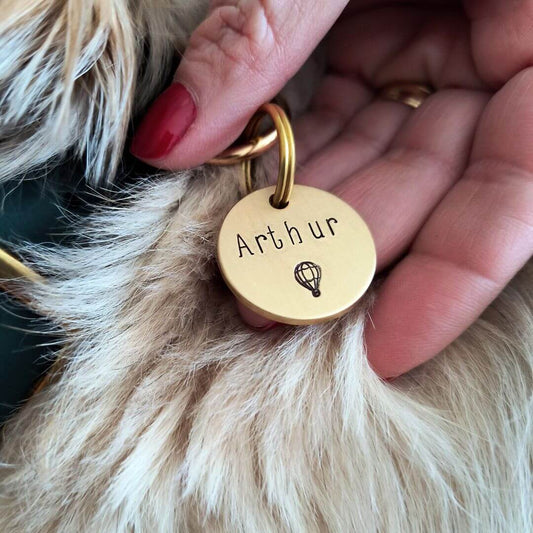 Arthur Hot Air Balloon Handstamped - Pet ID Tag
