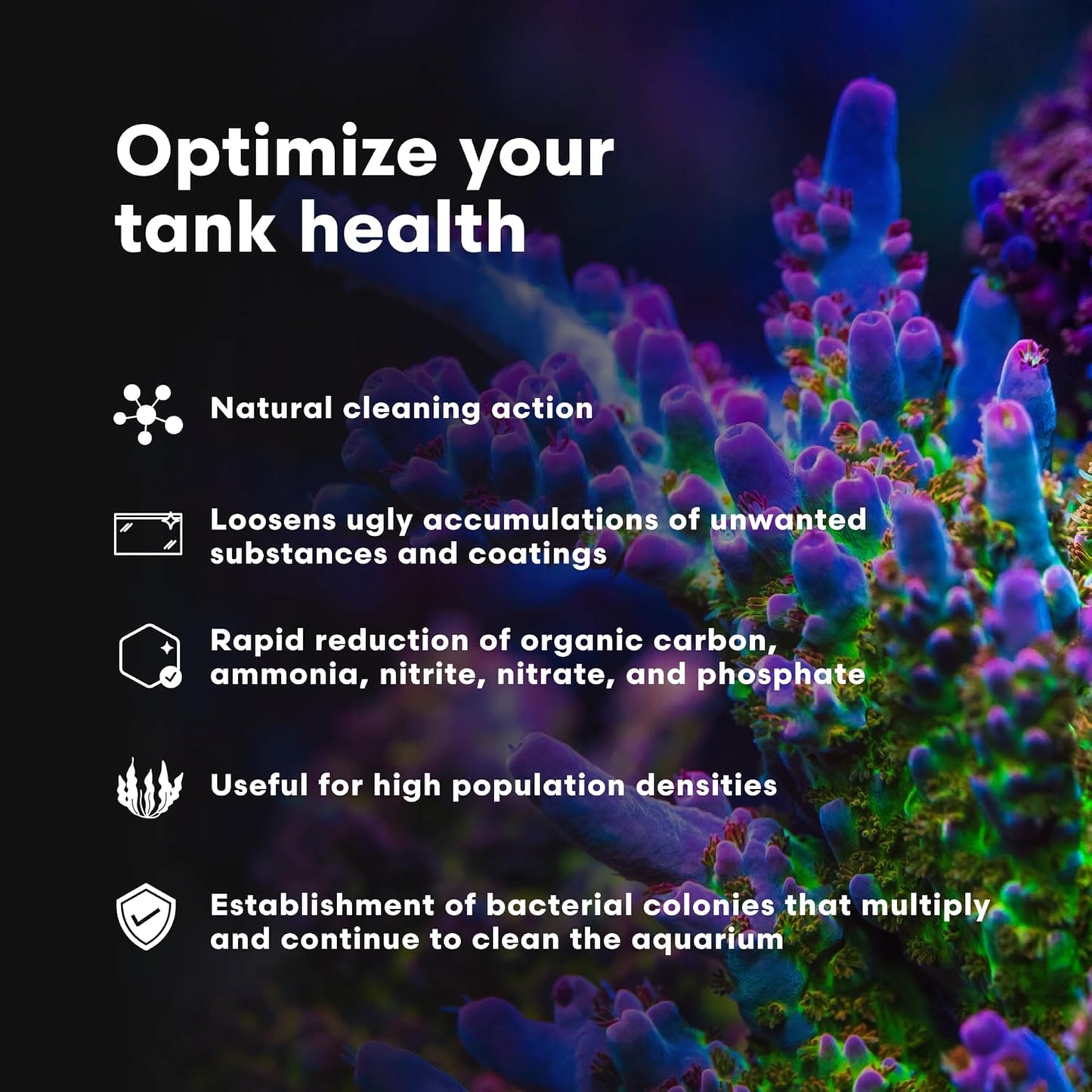 Microbacter Clean - Microbial Culture & Enzyme Blend Fish Tank Cleaner - Cleans Live Rock Surfaces for Saltwater Fish Habitats 