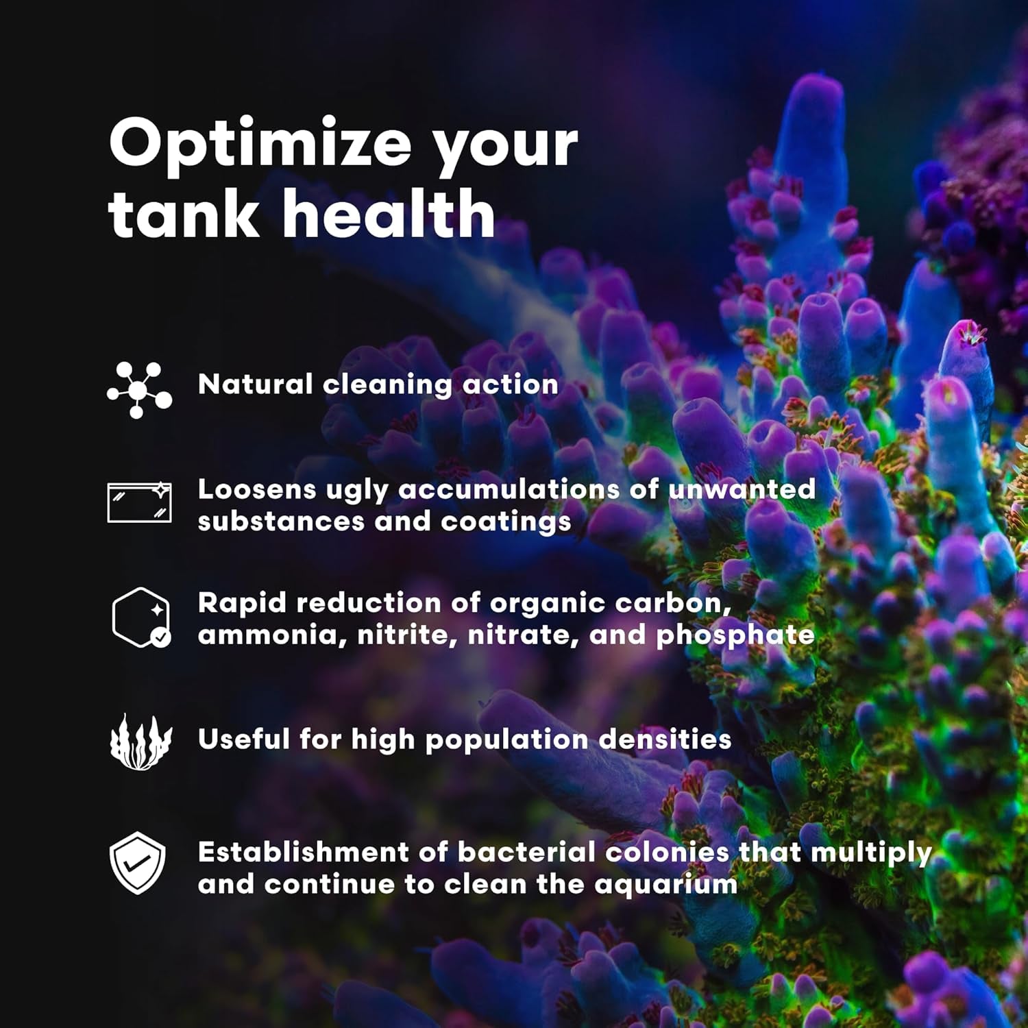 Microbacter Clean - Microbial Culture & Enzyme Blend Fish Tank Cleaner - Cleans Live Rock Surfaces for Saltwater Fish Habitats 