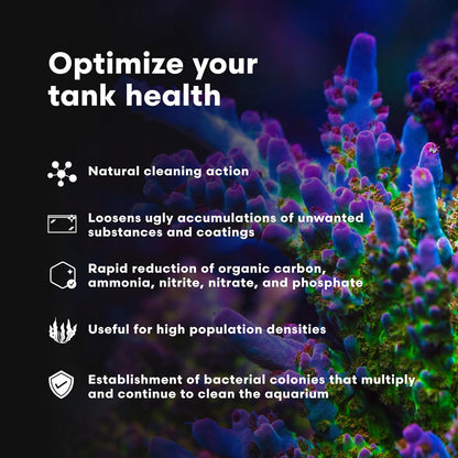 Microbacter Clean - Microbial Culture & Enzyme Blend Fish Tank Cleaner - Cleans Live Rock Surfaces for Saltwater Fish Habitats 