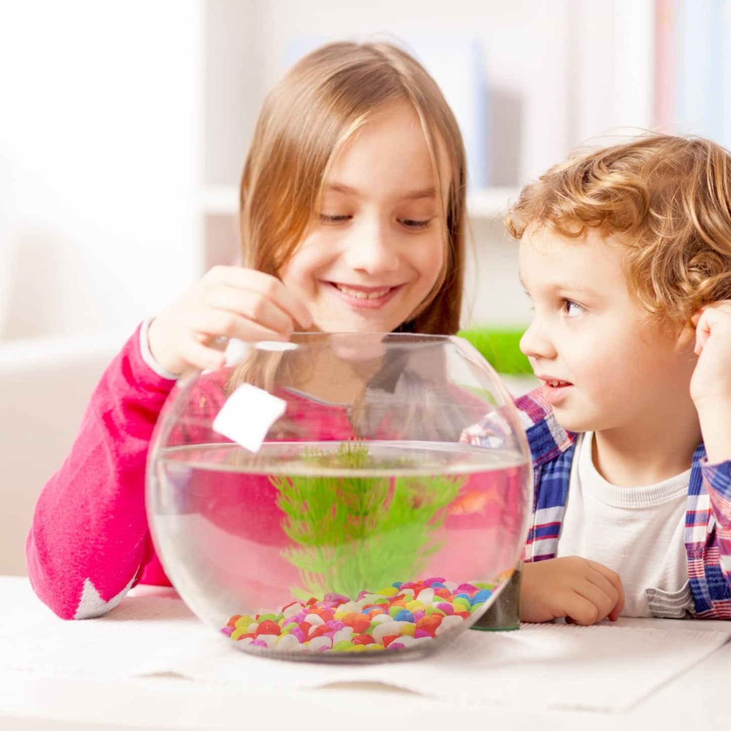 Vibrant 2.2 Lb Mini Rainbow Gravel Pebbles - Perfect for Aquariums, Succulents, Bonsai, and Home Decor (8-12mm)