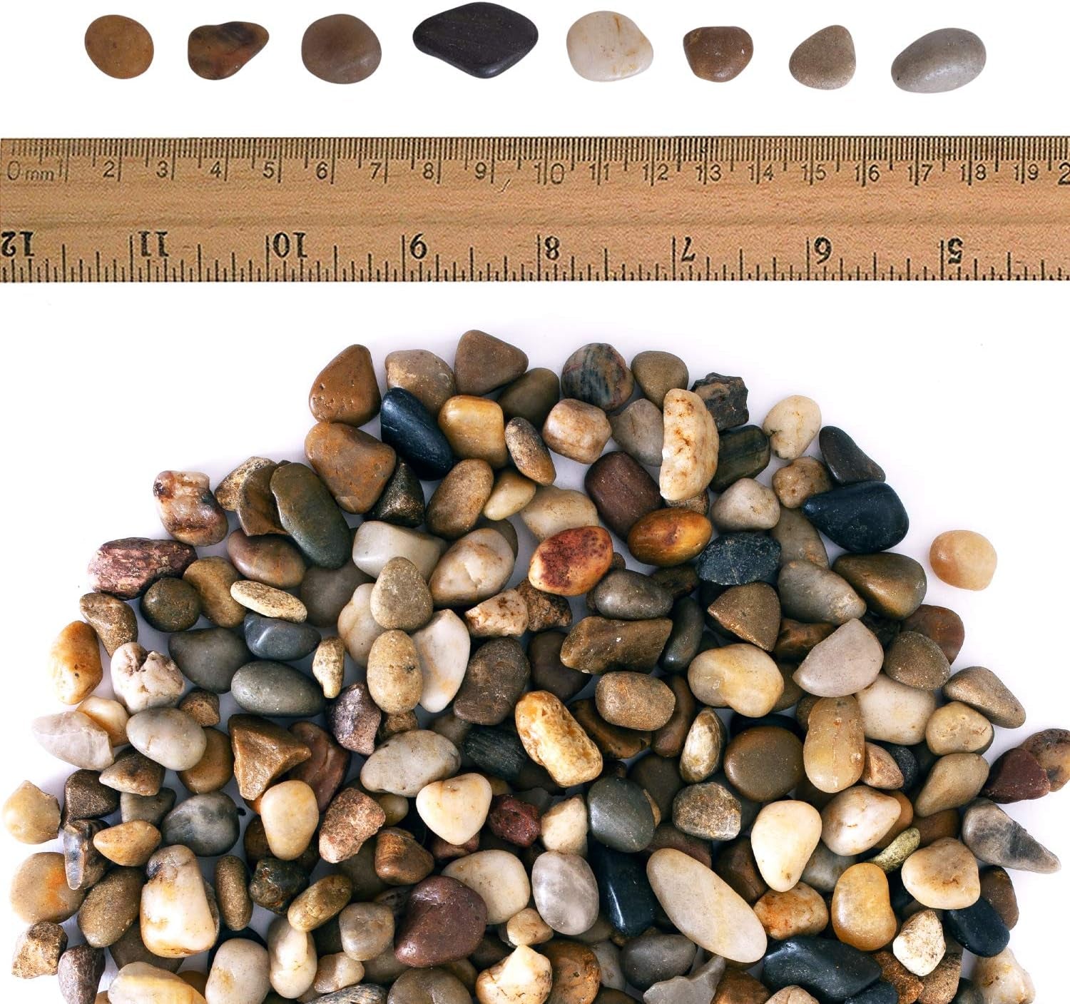 2 Lbs of Polished River Rocks - Perfect Decorative Pebbles for Indoor Plants, Aquariums, and Vases (0.3-0.6 Inches)