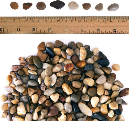 2 Lbs of Polished River Rocks - Perfect Decorative Pebbles for Indoor Plants, Aquariums, and Vases (0.3-0.6 Inches)