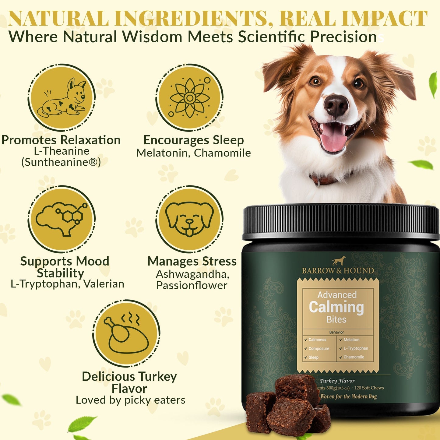 Calming Bites for Dogs – Stress & Anxiety Relief