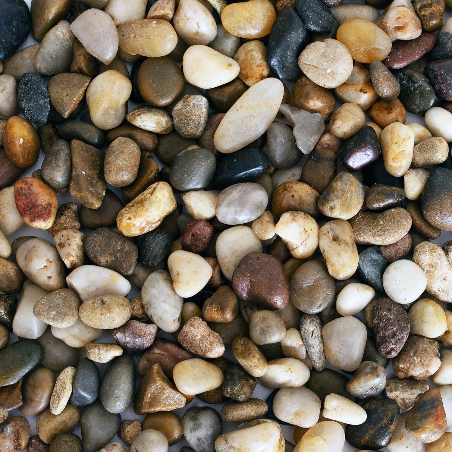 2 Lbs of Polished River Rocks - Perfect Decorative Pebbles for Indoor Plants, Aquariums, and Vases (0.3-0.6 Inches)