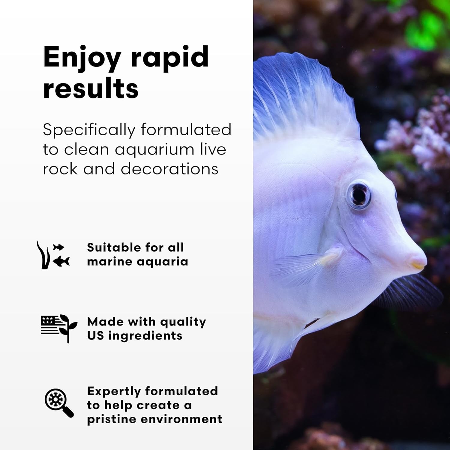 Microbacter Clean - Microbial Culture & Enzyme Blend Fish Tank Cleaner - Cleans Live Rock Surfaces for Saltwater Fish Habitats 