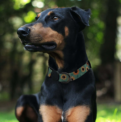 Custom Dog Collars Stripes Engraved - Pet ID Tag