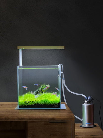 20 Gallon Rimless Low Iron Clear Aquarium Tank - Perfect Small Betta Fish Home, 7.8" Cube Design with Nano Foam Leveling Mat