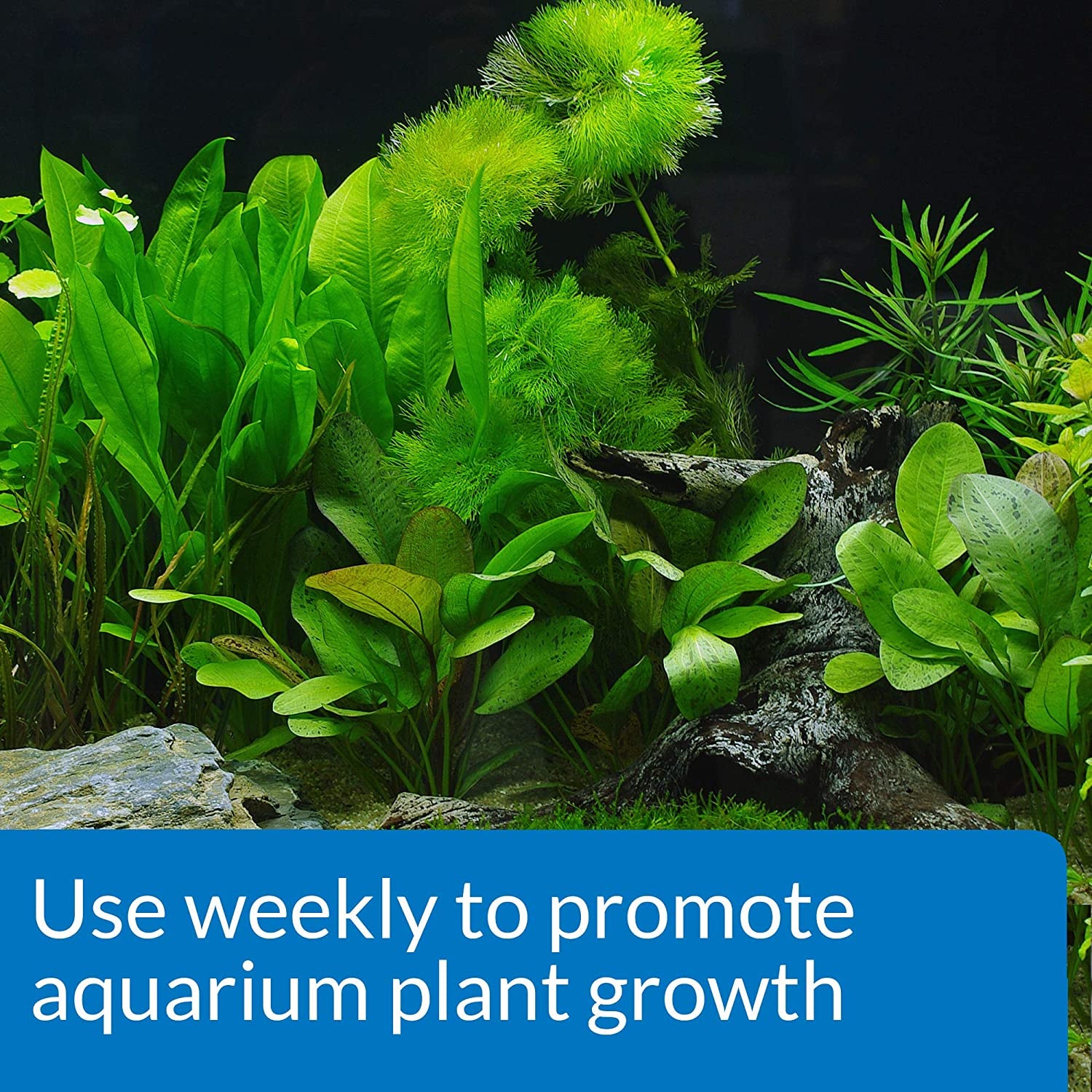 cheap aquarium plant fertilizer LEAF ZONE Freshwater Aquarium Plant Fertilizer 18-Ounce Bottle White – Danaqua Live Fish & More