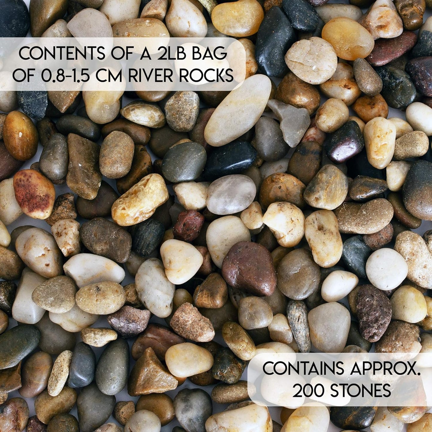 2 Lbs of Polished River Rocks - Perfect Decorative Pebbles for Indoor Plants, Aquariums, and Vases (0.3-0.6 Inches)