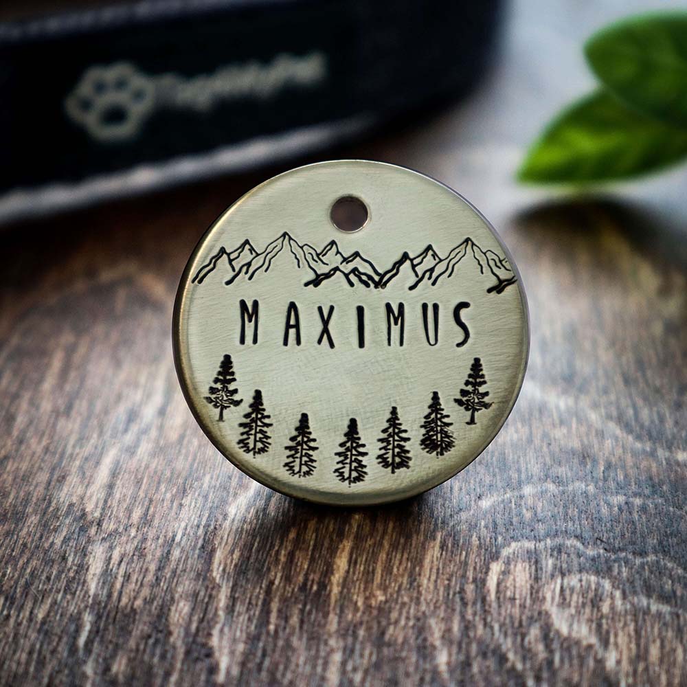 Maximus Forest Design Handstamped - Pet ID Tag – Danaqua Live Fish & More